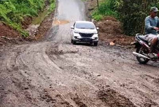Jalan Lintas Lebong - RL Kembali Ambles, Pemerintah Diminta Bertindak Sebelum Ada Korban 