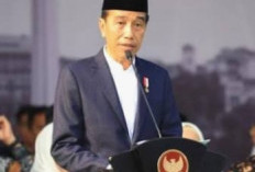 Basmi Judi Online, Presiden Jokowi Bentuk Satgas Khusus, Berikut Anggotanya
