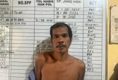 DPO Polres Pesisir Selatan Ditangkap di Bengkulu, Terduga Kasus Pencurian Motor di Sumatera Barat