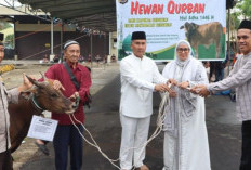 Kapolda Serahkan Hewan   Kurban ke 10 Masjid Ini