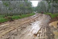 Warga Taba Lubuk Puding   Urung Dapat Jalan Mulus, Ini Penyebabnya