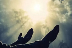 Amalkan Doa Ini Setelah Sholat Dhuha, Insya Allah Rezeki Melimpah