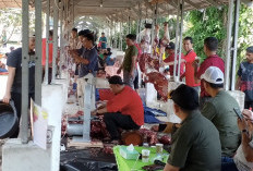 ASN Kemenag Provinsi Bengkulu Kurban 19 Ekor Sapi, Di Sini Lokasi Penyembelihannya  