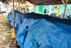  Ini Tujuan Puluhan Kernas di   Mukomuko Dilakukan Cek Fisik