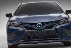 Toyota Luncurkan Mobil Sedan Camry Nightshade, Lebih Sporty dan Agresif, Begini Spesifikasinya