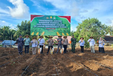  Dukung Swasembada Pangan,   Kapolda Tanam Jagung di Benteng, Segini Luasnya