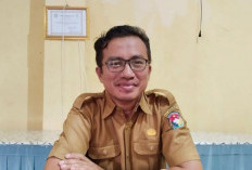  Dinkes Mukomuko Lakukan Pencegahan DBD, Begini Caranya 