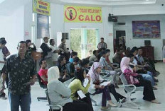 Balik Nama Gratis, Pajak 50 Persen: Khusus untuk Kendaraan Luar Mutasi ke Bengkulu