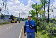 Demi Listrik Andal untuk Masyarakat,  PLN ULP Manna Maksimalkan Perawatan Jaringan