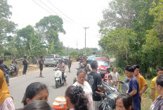 Warga Temukan Mayat Bayi Membusuk, Di Tepi Jalan Ini Lokasinya