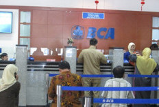 BCA Buka Lowongan Kerja, Posisi Relation Officer, Penempatan di 17 Daerah di Indonesia, Berikut Syaratnya