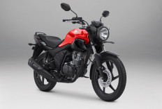  Motor Naked Sport Terlaris, New CB150 Verza Hadir dengan Warna Terbaru
