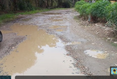 Jalan Rusak Tak Kunjung Dihotmix, Warga Desa Marga Mukti Harapkan Ini