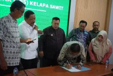 Tak Berkutik di Depan Polisi, Belasan PKS Mukomuko Dipaksa Beli Sawit Rp3.465