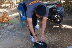 Warga Keluhkan Air Sumur Diduga Tercemar, Kades Minta Sungai dan Ikan Diuji