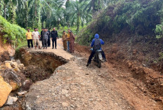 Bupati Seluma Cek Jalan Amblas, Teddy: Secepatnya Lakukan Perbaikan