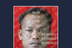 Mayat Tanpa Identitas Warga Sumatera Selatan, Ini Keterangan Kapolsek Batik Nau Kabupaten Bengkulu Utara