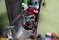 Geger,  Seorang Warga Pelangkian Ditemukan Membusuk Dalam Rumah