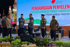 Kabupaten BU Terbaik Pertama SDI, Bupati Mian Terima  Penghargaan dari Gubernur Bengkulu