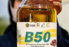 Siap-siap, Mulai 1 Juli 2026, BBM Biodiesel B50 Resmi Berlaku di Seluruh SPBU,Ini Dampaknya untuk Masyarakat