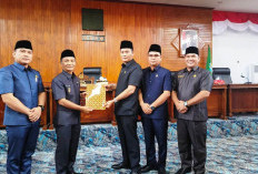 DPRD Kaur Dukung Penuh   Tembak Bius Ternak Liar