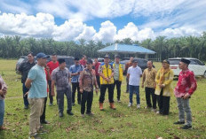  DID SR di Mukomuko Ditargetkan Rampung 2026