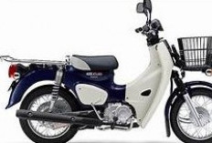 Super Cub 110 Pro, Motor Klasik yang Tangguh dan Super irit BBM, Siap Menemani Aktivitas Harianmu