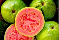 Jambu Biji Bikin Awet Muda? Begini Penjelasannya