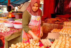 Harga Telur di Pasar Purwodadi Naik, Begini Pengakuan Pedagang