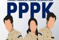 MenPAN RB Pastikan Nasib Tenaga Honorer  Yang Tidak Ada Formasi  Bisa Diangkat PPPK,  Ini Syaratnya