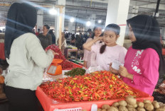  Harga Cabai Rawit di Bengkulu   Utara Tembus Rp 75 Ribu/kg