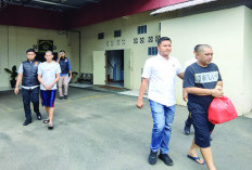  Penjual Bibit Sawit Ilegal Dilimpahkan, Ini Sederet Barang Bukti yang Disita Dit Reskrimsus Polda Bengkulu