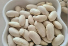 Beragam Manfaat  Kacang Putih Untuk Kesehatan, Cocok Dikonsumsi Setiap Hari