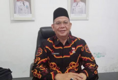 Siap-siap, Bulan Ini Pemkot Bengkulu Gelar Job Fair, Diikuti 25 Perusahaan, Catat Tanggalnya!