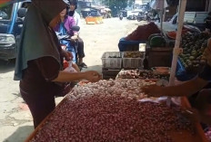  Harga Bapok di  Bengkulu Utara Stabil, Ini Tujuannya 