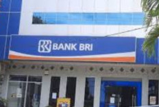 KUR BRI Rp 80 Juta, Tenor hingga 60 Bulan, Angsurnnya Cuma Segini