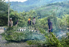 Sat Lantas Polresta Lebong Antisipasi Pohon Tumbang, Ini Kegiatannya 