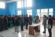 Rekom BKN, Hukum  Berat ASN Berpolitik, Bupati segera Bertindak Berikan Sanksi
