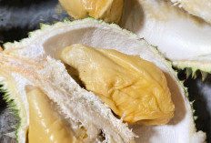 Jangan Mengonsumsi Ini Bersamaan Makan Durian, Berikut Dampaknya