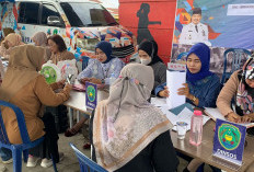 MPP Buka Pelayanan di Kecamatan, Begini Keterangan Plt Kepala DPMPTSP Kota Bengkulu