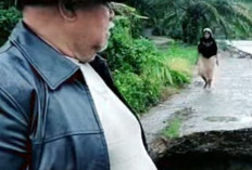 Jalan Longsor di Air Nipis, Hari Ini Pemkab Audiensi ke BWS