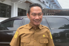 Tes CPNS 2026,Pemkab Bengkulu Selatan Usulkan 70–80 Formasi, Khusus untuk Tenaga Ini