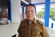 Koperasi Merah Putih Segera Dilaunching, Ini Jadwalnya 