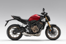 Neo Sport Cafe CB650R Terbaru, Makin Gagah dengan Teknologi Terkini, Bikin Pengendara Makin Nyaman