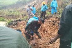 Longsor di Lebong, Korban Tertimbun Dipastikan Tidak Ada,  Pengguna Jalan Sudah Bisa Melintas