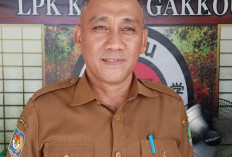  Segini Jumlah Warga Benteng Ikuti Kursus Bahasa Jepang