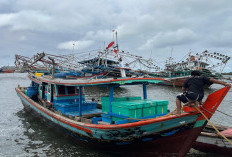 Cuaca Buruk, Nelayan Kesulitan Melaut, Penghasilannya Turun Drastis