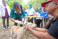 HPR Meningkat, Pemkot Gencarkan Vaksinasi