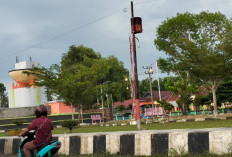  Monumen Sawit Dibangun   di Pusat Kota Mukomuko
