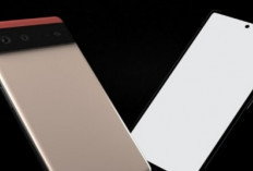 Smartphone Asus Zenfone 10, Ini Spesifikasi dan Harganya